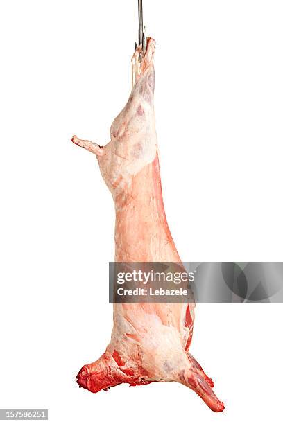 hanged lamb (whole) - slaughterhouse stock pictures, royalty-free photos & images