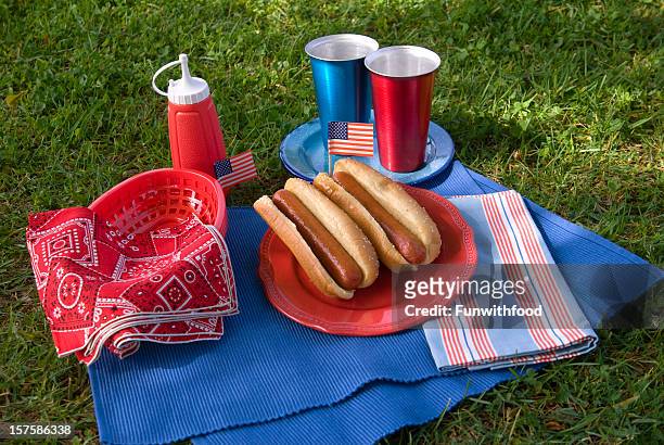 バーベキューホットドッグピクニック、労働&メモリアルデー&7 月 4 日 - 4th of july picnic ストックフォトと画像