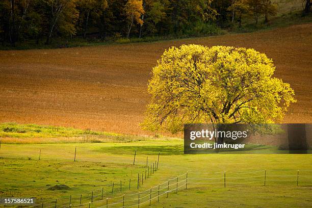 rural autumn scenic in the midwest. - wisconsin v iowa stock pictures, royalty-free photos & images