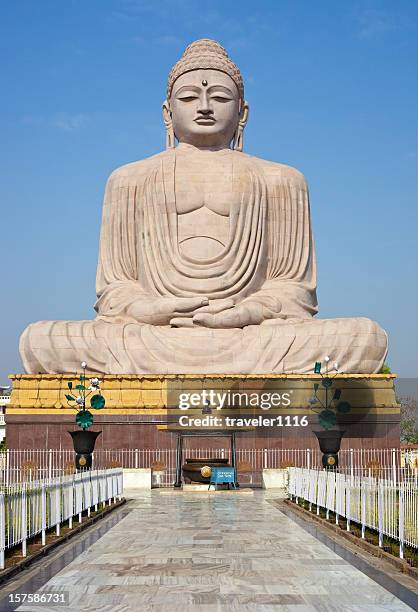 giant buddha - bihar bildbanksfoton och bilder