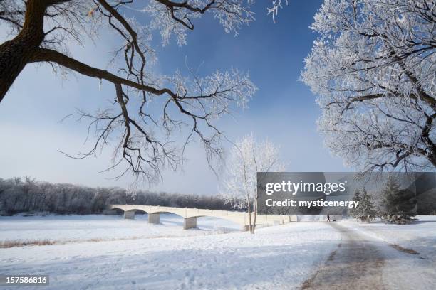 assiniboine park winnipeg - winnipeg park stock pictures, royalty-free photos & images