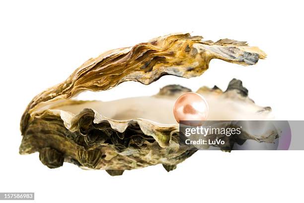 open oyster shell with a large, pink pearl inside - oyster stock pictures, royalty-free photos & images