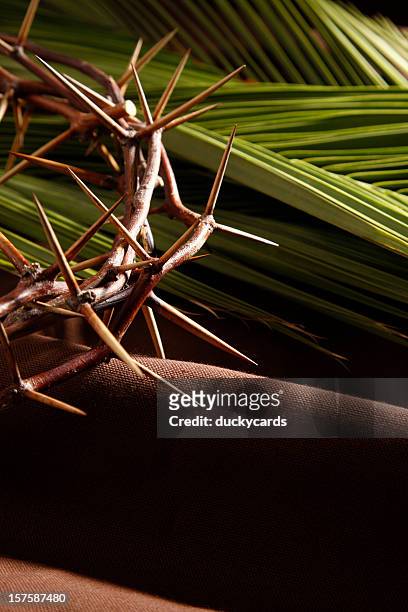 crown of thorns and palm branches - palm sunday stock pictures, royalty-free photos & images