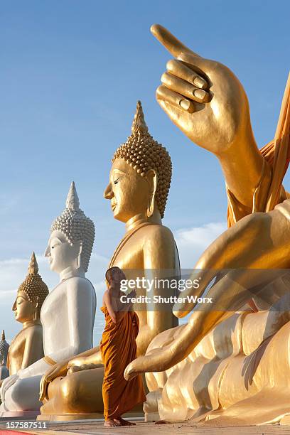 in prayer - buddha stock pictures, royalty-free photos & images