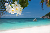 Tropical Paradise Beach (XXXL)