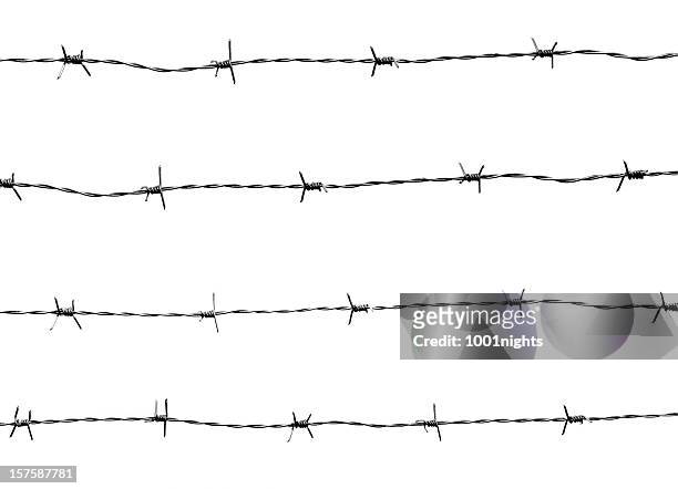 barbed wires - barbed wire fence stock pictures, royalty-free photos & images
