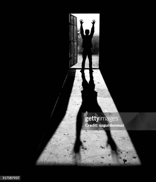 freedom - prison stock pictures, royalty-free photos & images