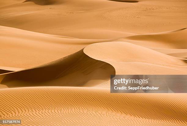 sand dune between light and shadow in the sahara - mandara lakes stock pictures, royalty-free photos & images