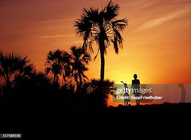 silhouette of palmtrees and two african boys walking against sunset - turkanameer stockfoto's en -beelden