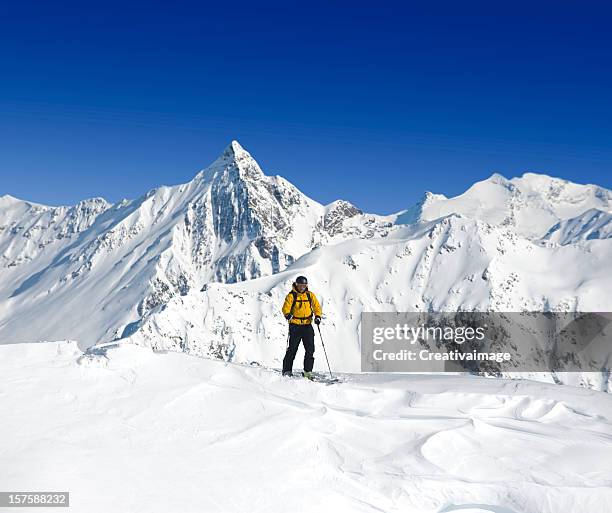 i love skiing in powder snow - pinnacle stockfoto's en -beelden