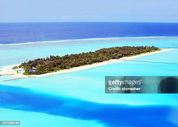 maledivischer exotischen insel mit transparenten lagune. - male maldives stock-fotos und bilder