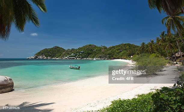 secluded paradise tropical beach (xxxl) - maya bay stock pictures, royalty-free photos & images