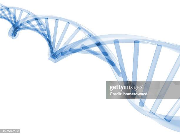 3d dna stands - dna stockfoto's en -beelden