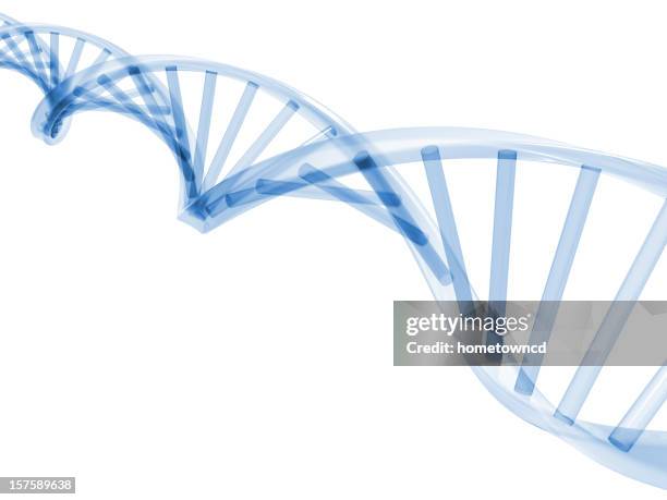 3d Dna Stands High-Res Stock Photo