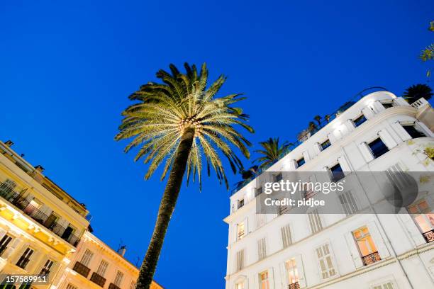 hotel facade and palm tree at sunset in cannes - cannes bildbanksfoton och bilder