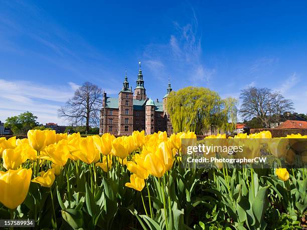 tulips and rosenborg castle - danish culture stock pictures, royalty-free photos & images