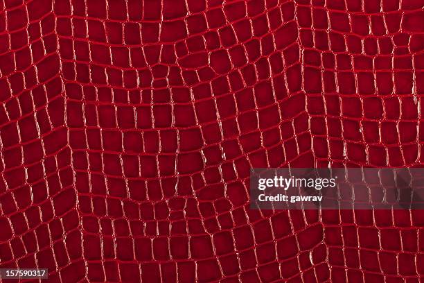 textured background of genuine leather in lizard skin pattern - mottled skin 個照片及圖片檔