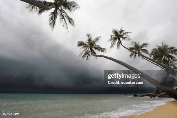 einige minuten vor der taifun - tropensturm stock-fotos und bilder