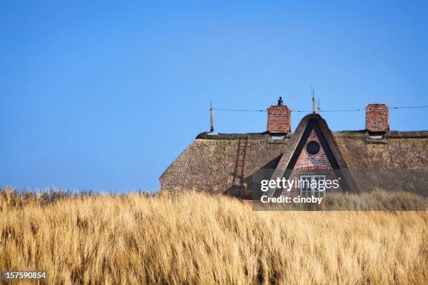 thatched roof ( reetdach ) - thatched roof stock pictures, royalty-free photos & images