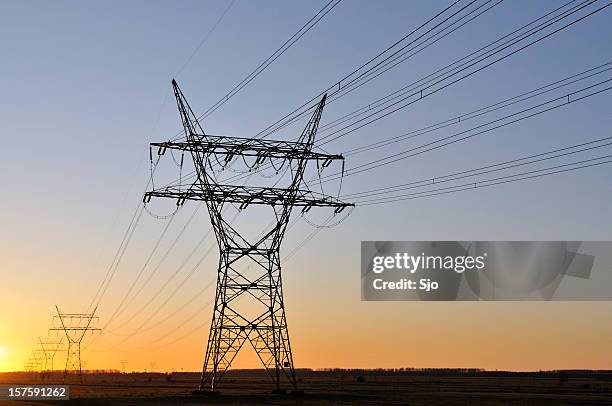 power lines in sunset - telephone lines stock pictures, royalty-free photos & images