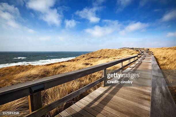 wooden walking path - boardwalk beach stock pictures, royalty-free photos & images