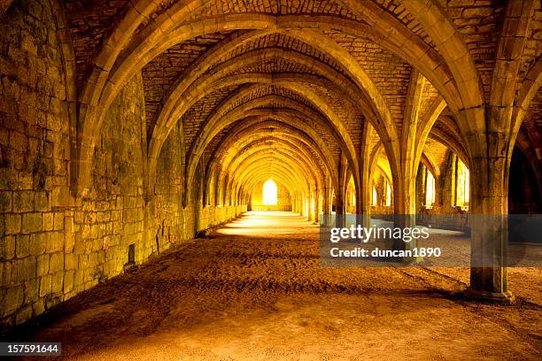 fountains abbey cellarium - barrel vault stock pictures, royalty-free photos & images