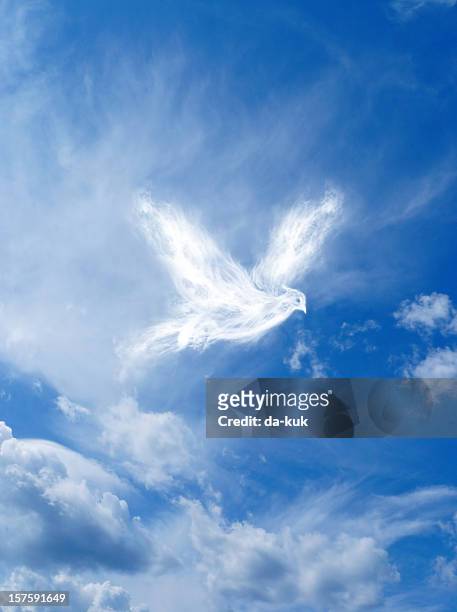 wings of freedom - spirituality stock pictures, royalty-free photos & images