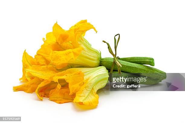 decorative yellow flowers witch zucchini - courgette stock pictures, royalty-free photos & images