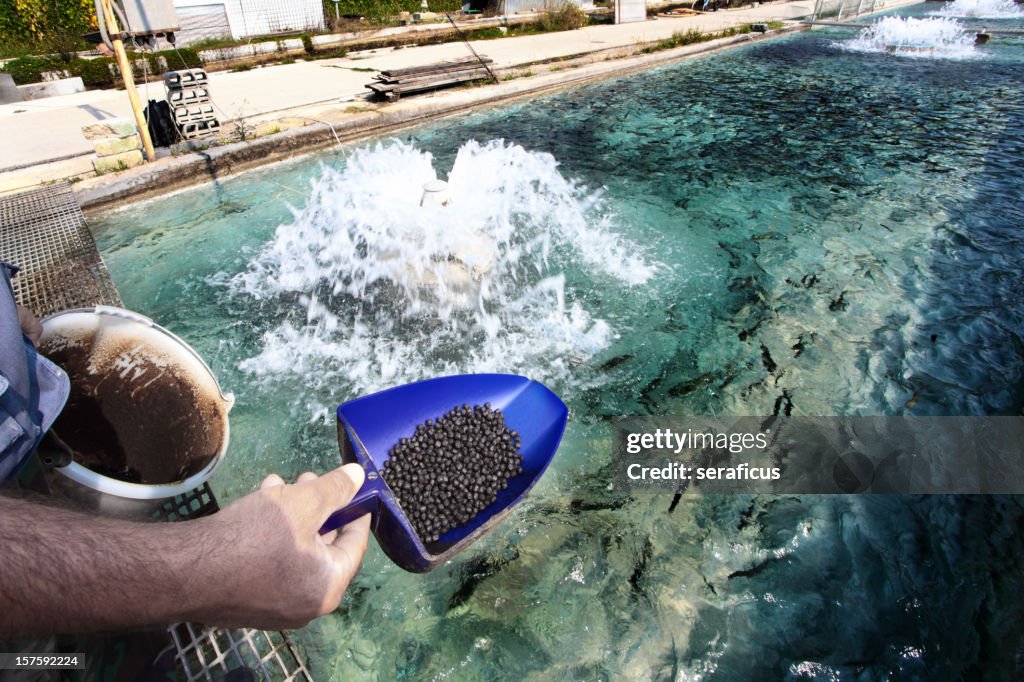 Fish farm at Bussi, in Abruzzo