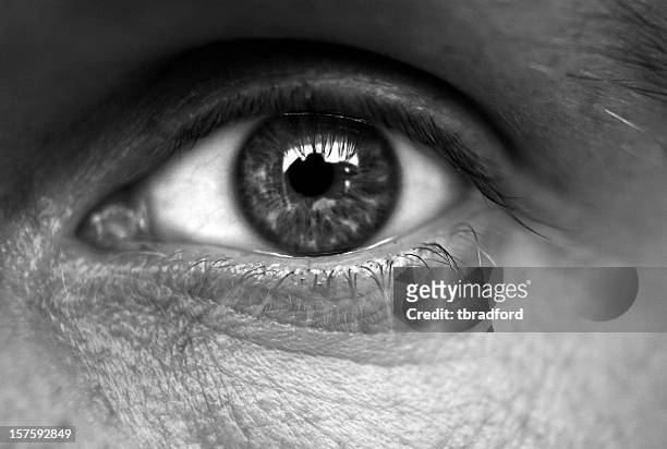 ojo humano - blanco y negro fotografías e imágenes de stock