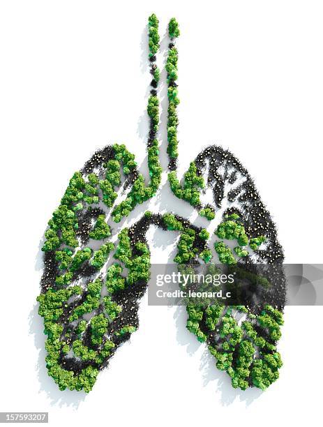 ariel view of foliage planted in the shape of lungs  - amazon rainforest trees stock pictures, royalty-free photos & images