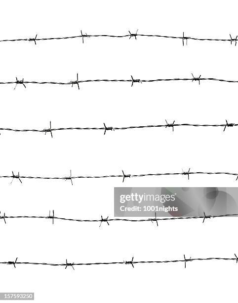 barbed wires - barbed wire fence stock pictures, royalty-free photos & images