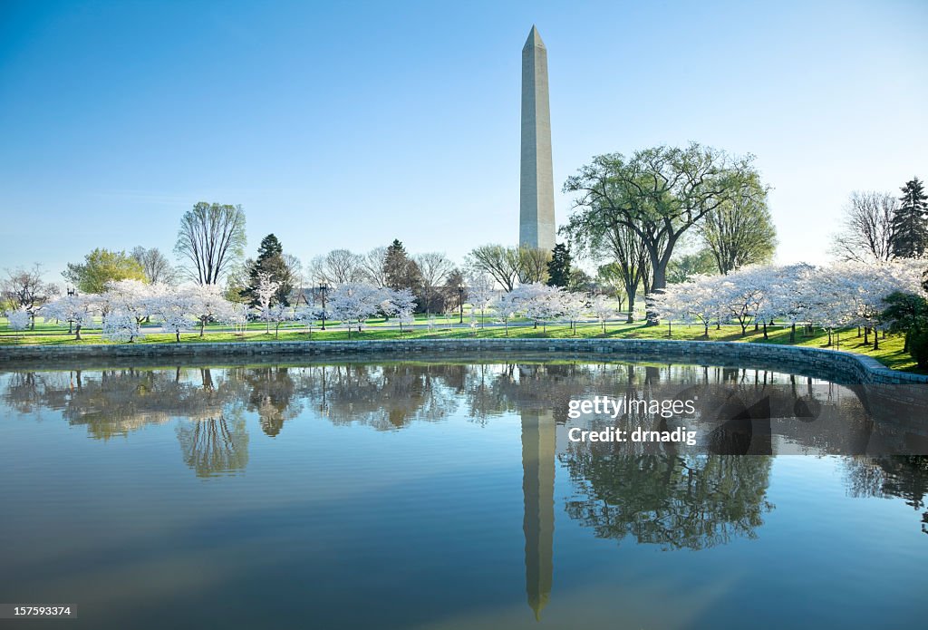 Monumento de Washington e Kirschblüten reflectir em Tidal Basin