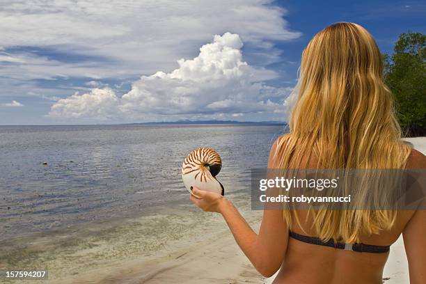 mulher loira na praia com maravilhosa nautilus na mão - nautilus - fotografias e filmes do acervo