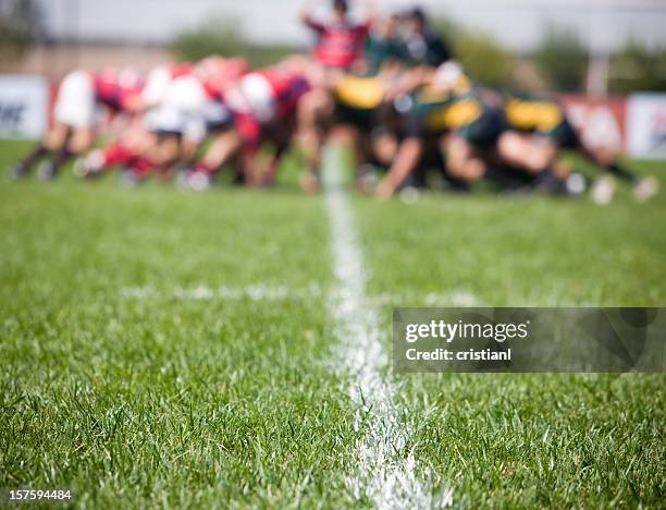 lawn in a field - rugby team stockfoto's en -beelden