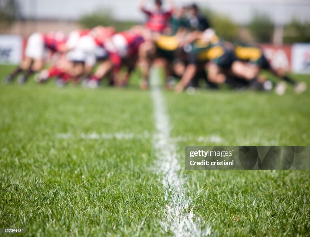 Lawn in a Field