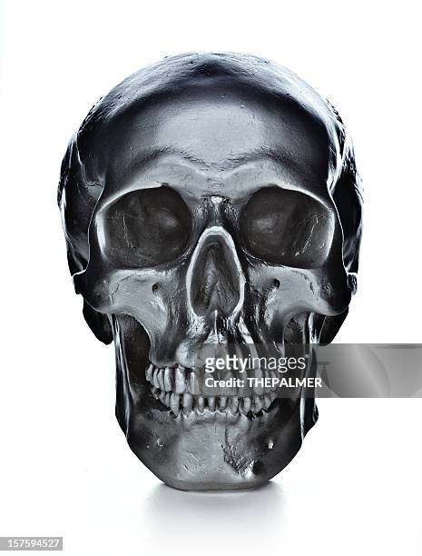schädel auf weißem hintergrund - skull stock-fotos und bilder