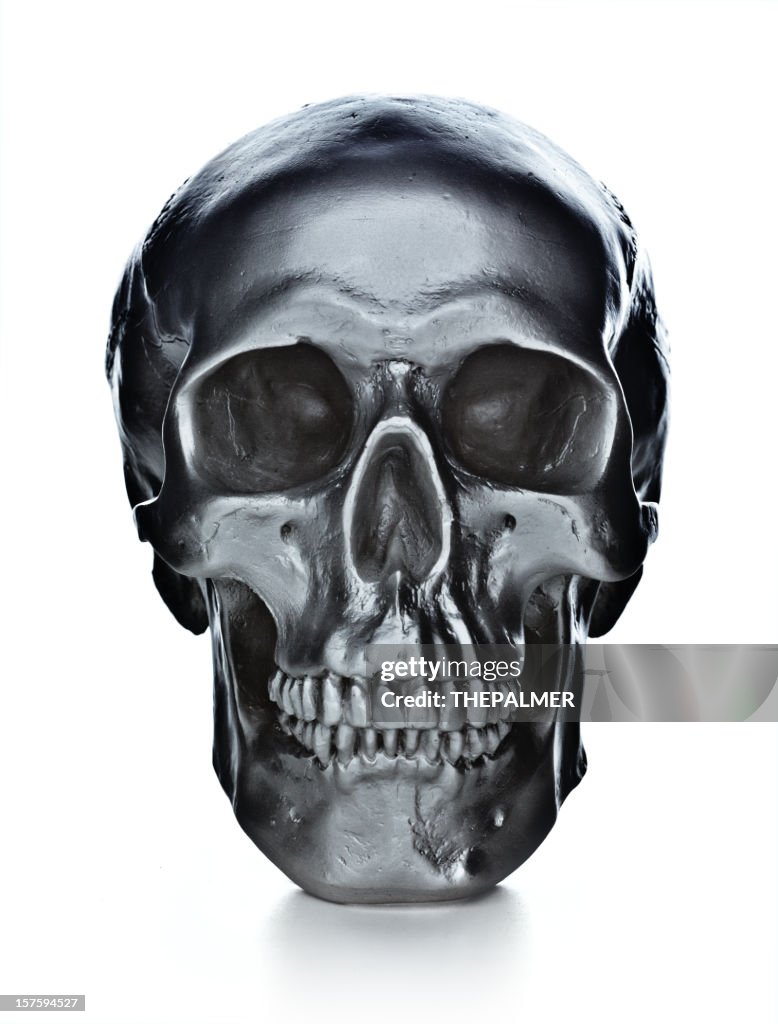 Skull on white background