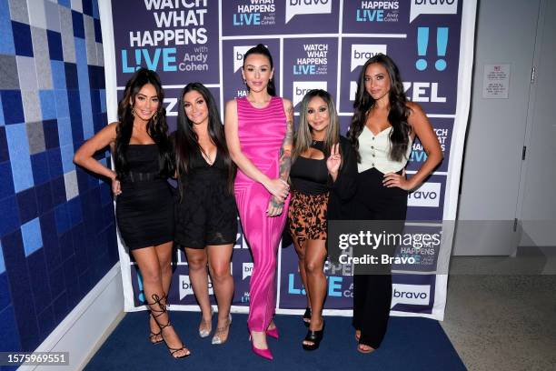 Episode 20133 -- Pictured: Angelina Pivarnick, Deena Nicole Cortese, Jenni "JWOWW" Farley, Nicole "Snooki" Polizzi, Sammi "Sweetheart" Giancola --