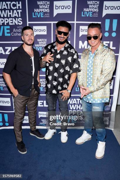 Episode 20133 -- Pictured: Vinny Guadagnino, Paul "DJ Pauly D" Delvecchio, Mike "The Situation" Sorrentino --