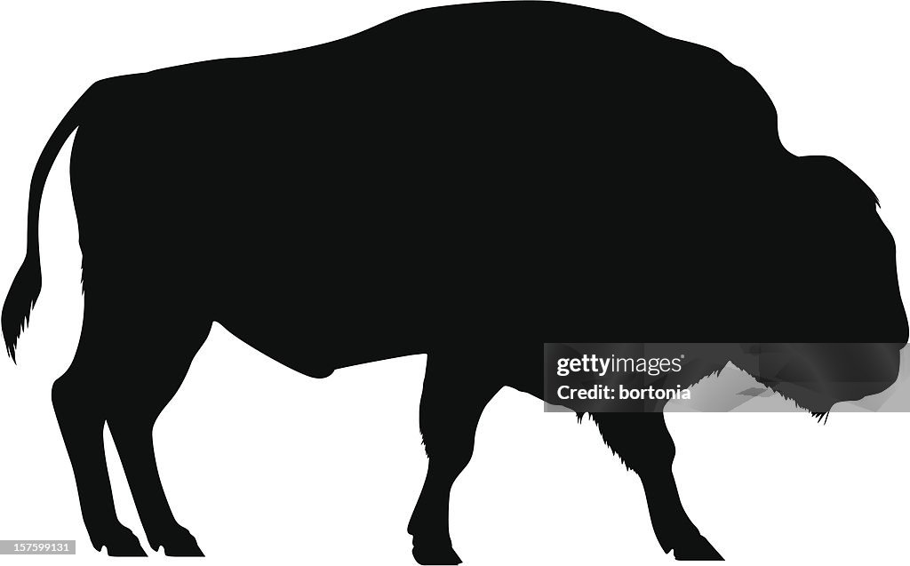 Bison-Silhouette