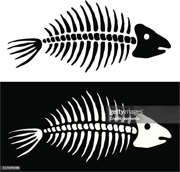 illustrations, cliparts, dessins animés et icônes de os de poissons - vertebras