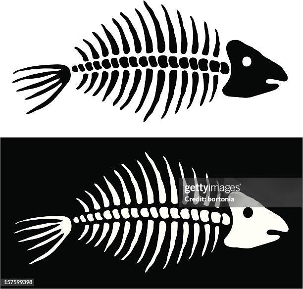 fish bones - fish skeleton stock illustrations