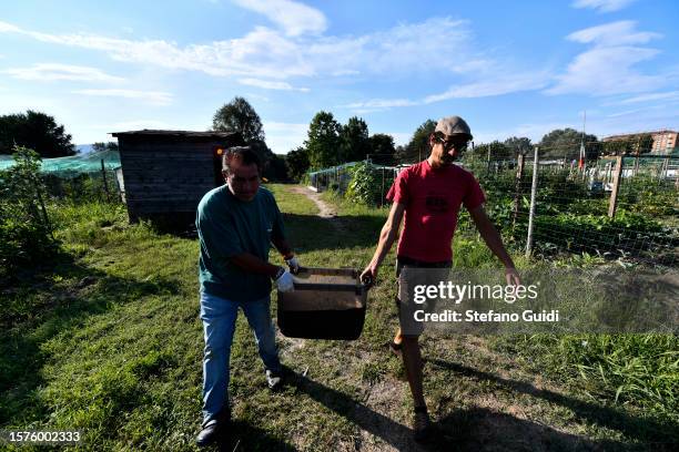 Giuseppe Deplano, an Italian earthworm farmer and Luigi, a collaborator, transport fruit waste at an earthworm farm on July 28, 2023 in Turin, Italy....