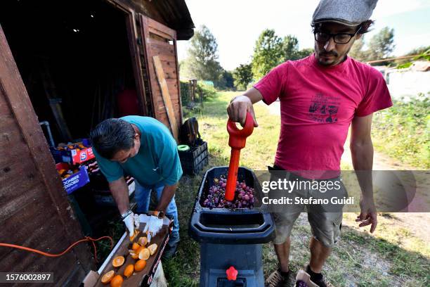 Giuseppe Deplano, an Italian earthworm farmer and Luigi, a collaborator, prepare fruit waste at an earthworm farm on July 28, 2023 in Turin, Italy....