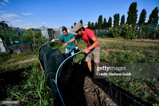 Giuseppe Deplano, an Italian earthworm farmer and Luigi, a collaborator, prepare an earthworm habitat at an earthworm farm on July 28, 2023 in Turin,...
