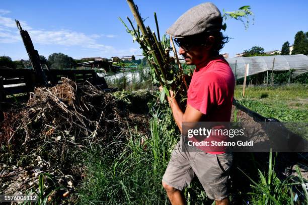 Giuseppe Deplano, an Italian earthworm farmer, works at an earthworm farm on July 28, 2023 in Turin, Italy. Giuseppe Deprano, an Italian earthworm...