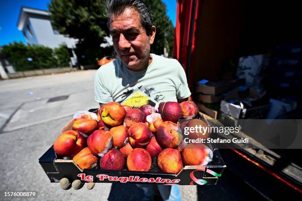 Luigi, a collaborator of Giuseppe Deplano, an Italian earthworm farmer, transports fruit waste at an earthworm farm on July 27, 2023 in Turin, Italy....