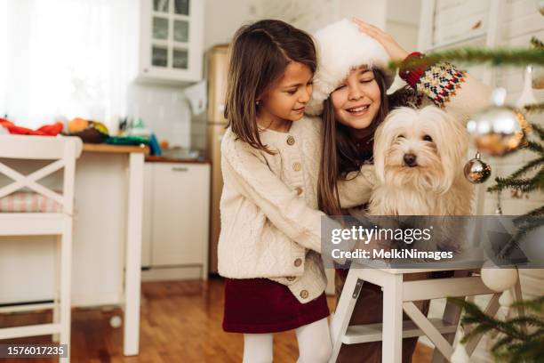 fröhliche kinder an einem weihnachtsmorgen - christmas tree dog stock-fotos und bilder