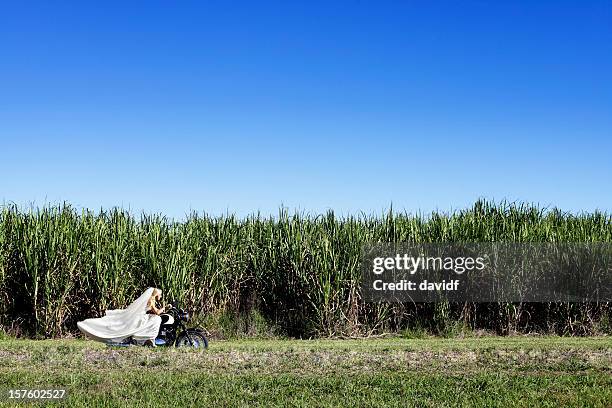 biker bride - runaway stock pictures, royalty-free photos & images